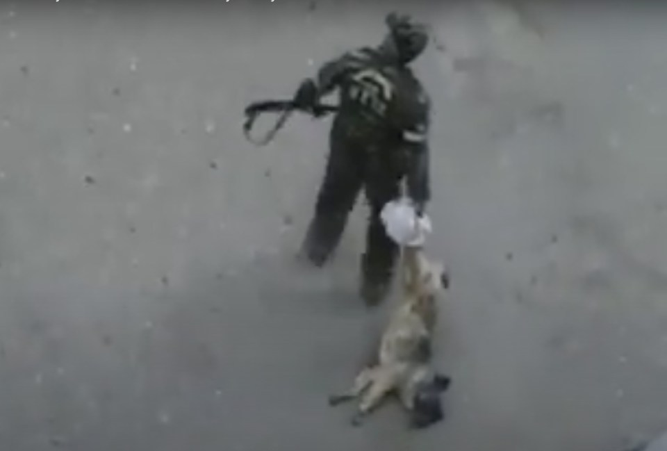 In Baku, Azerbaijan's capital, animal rights activists were horrified after seeing stray pets slaughtered on the streets