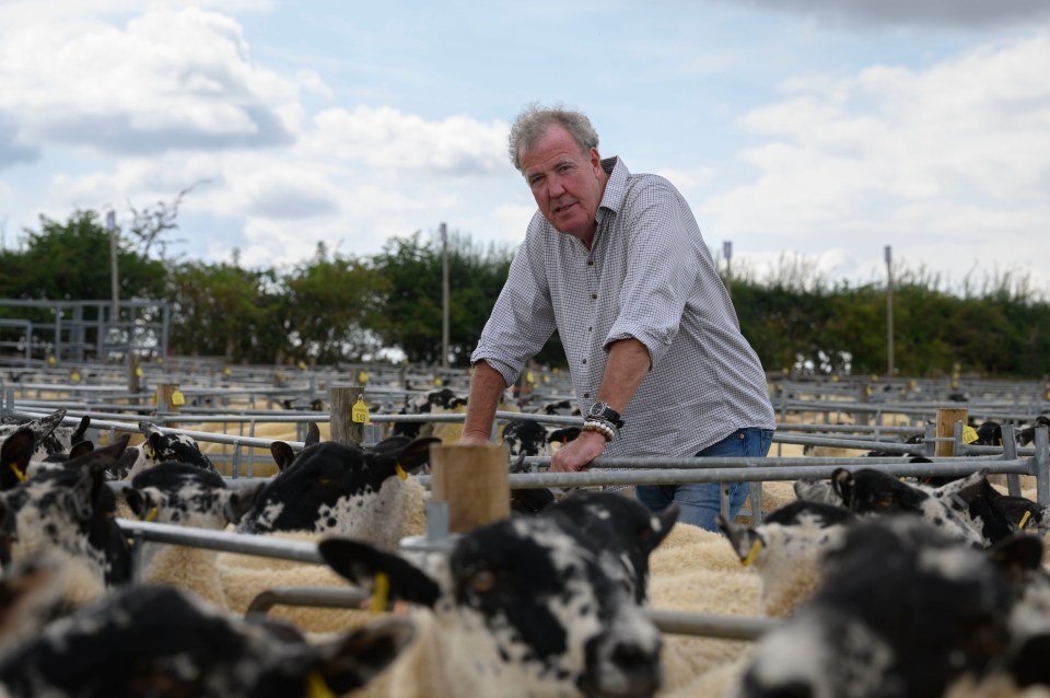Sheep know humans are squeamish - so their death has to be revolting