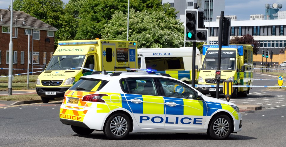Officers tracked down Layton to a campsite in North Yorkshire after the brutal killing