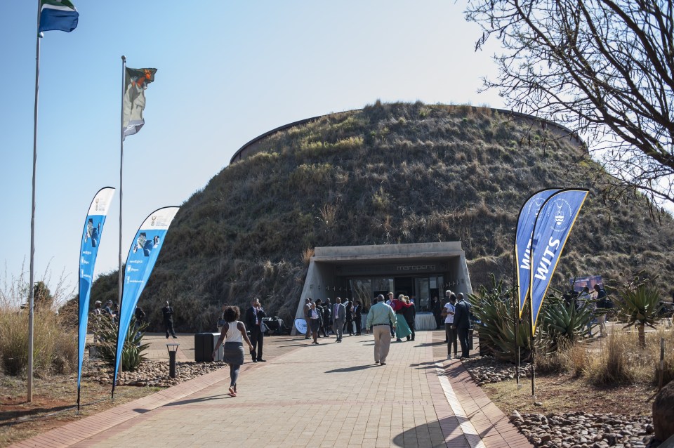 It was found just miles from the 'Cradle of Humankind' fossil site