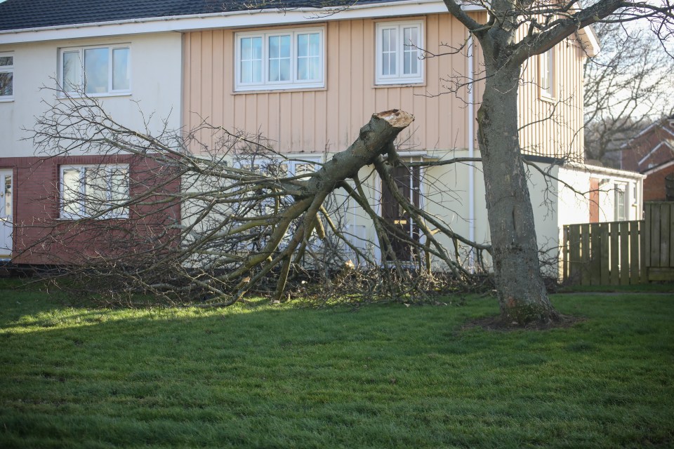 Storm Malik causing mayhem in Consett, County Durham