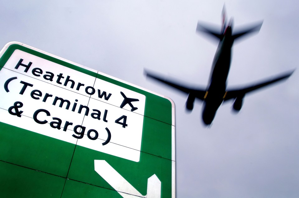 Sources said staff from cargo firm Dnata were in trauma after witnessing the event