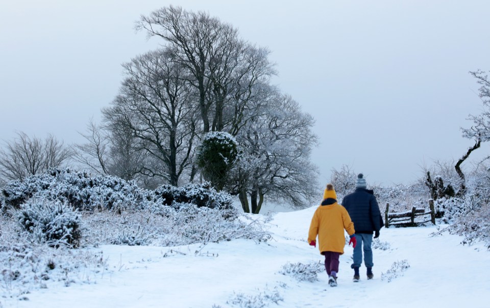 Brits enjoyed the snow in Somerset yesterday