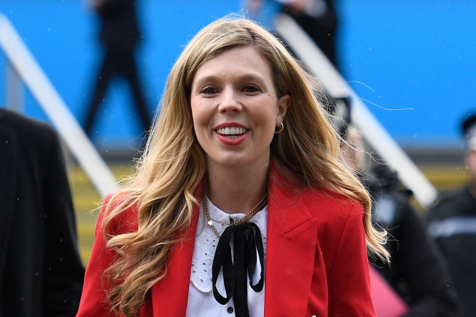 Boris is alleged to have attended a surprise birthday party in June 2020, organised by wife Carrie