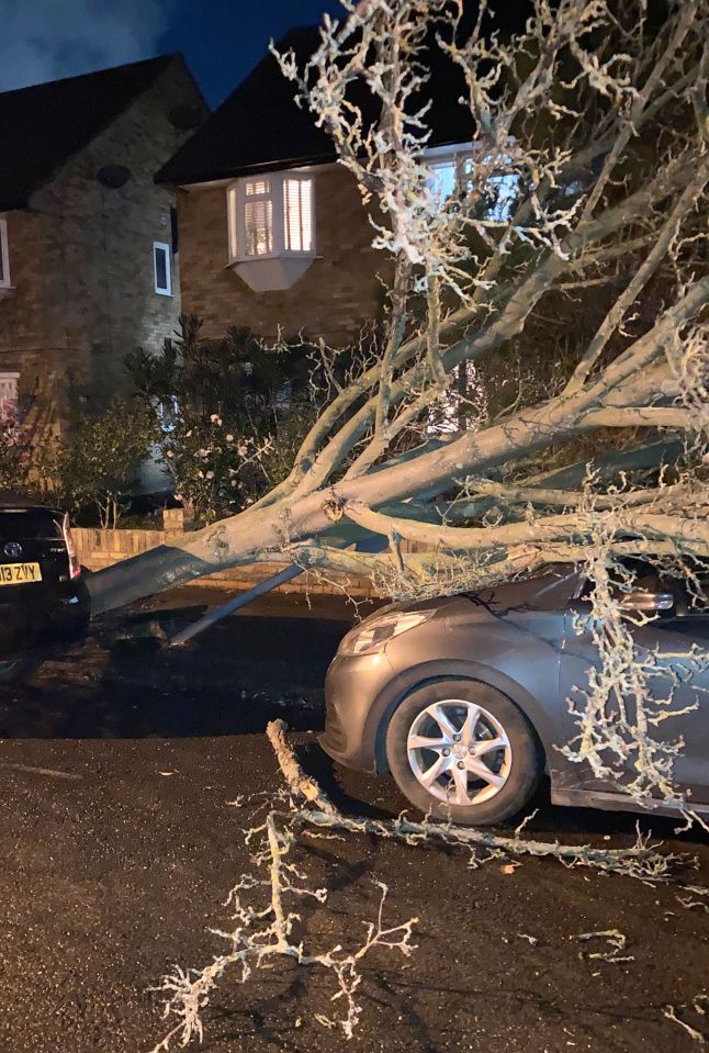 Storm Eunice causes havoc as a tree falls onto a car in Ealing, West London