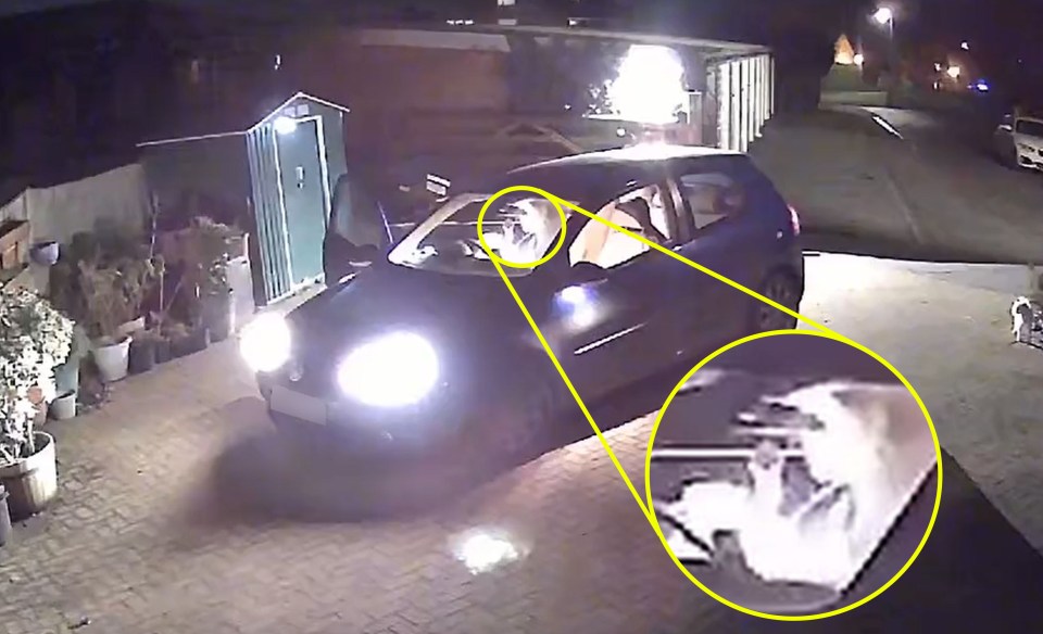 A family claim this is a Just Eat delivery driver munching their meal on their driveway