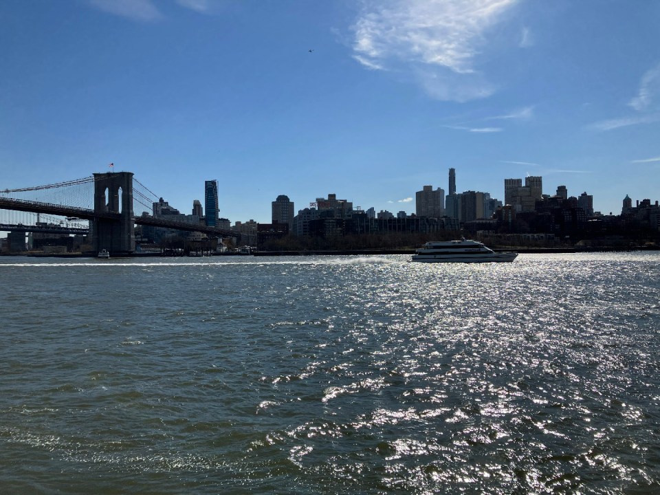 Sunny skies and a dark background can be a difficult challenge, but the iPhone SE handles exposure well – maintaining detail across the scene