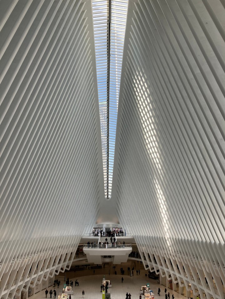 The wide-angle camera captures large scenes and impressive levels of detail