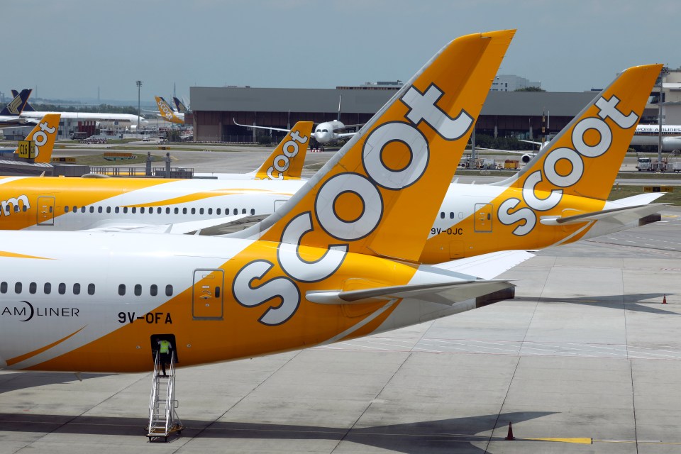 The flights are staggeringly cheap compared to what else is out there