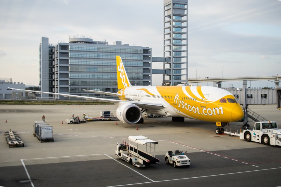 Even the exterior of the plane is kitted out in Scoot’s signature bright yellow colour