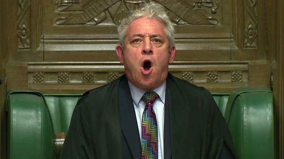 Ex Commons Speaker John Bercow has been branded a serial bully and liar while being banned from Parliament for life