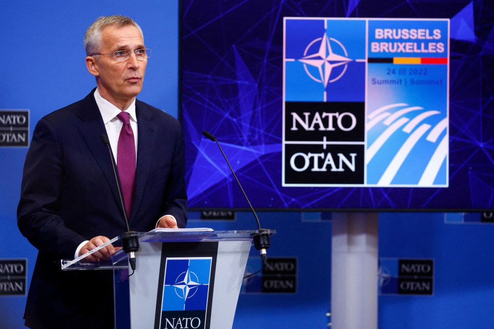 NATO chief Jens Stoltenberg said the alliance will send more troops to its eastern flank
