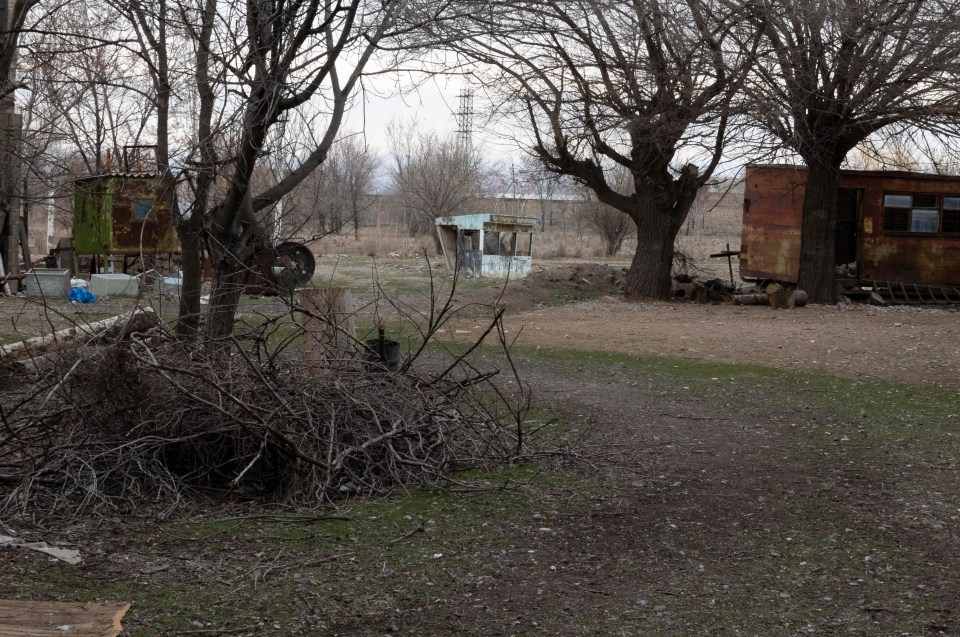 The Armenian government is debating an animal welfare bill that could see the zoo close down