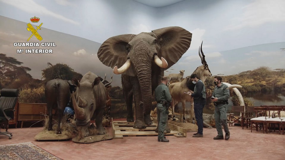 Over 1,000 stuffed animals including polar bears, rhinos and elephants have been found in warehouses