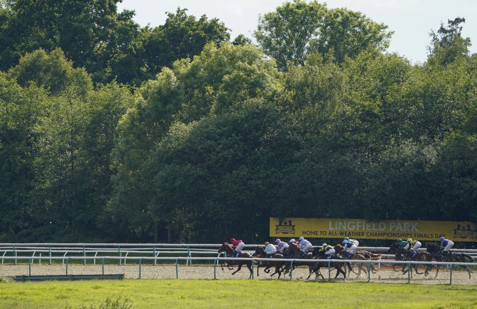 Two races at Lingfield have been abandoned over safety concerns
