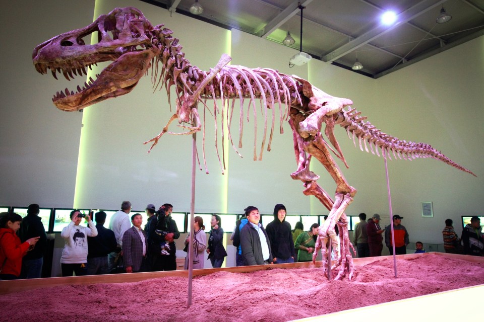 This relative of the T.Rex was illegally smuggled into the United States