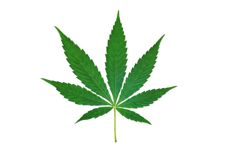 Politicians like Sadiq Khan compete to look cool by talking about legalising marijuana