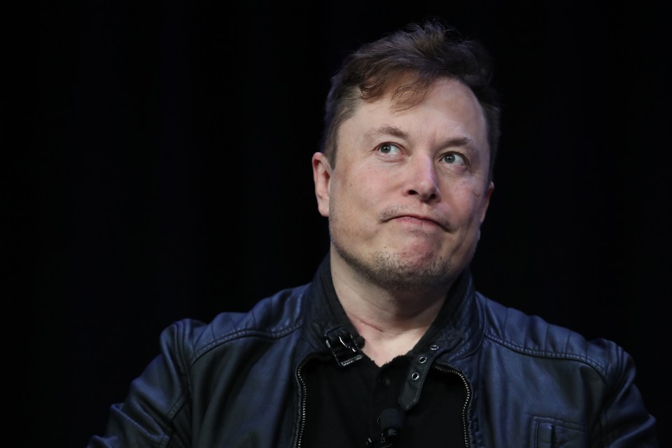 Vivian's mum Justine Wilson met Elon Musk at Queen's University in Ontario, Canada