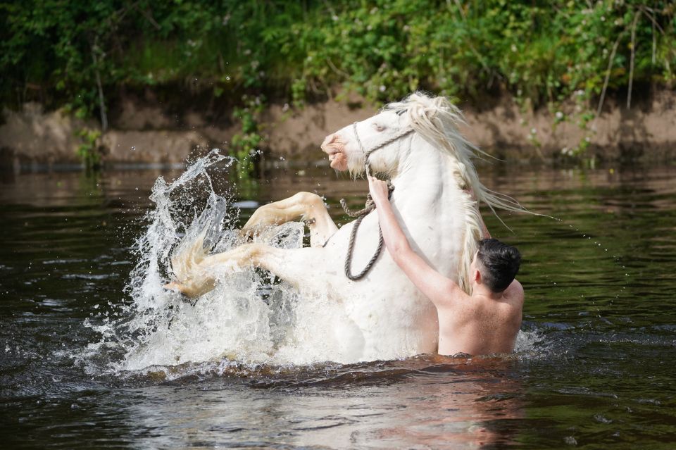 A man washes his horse in the River Eden