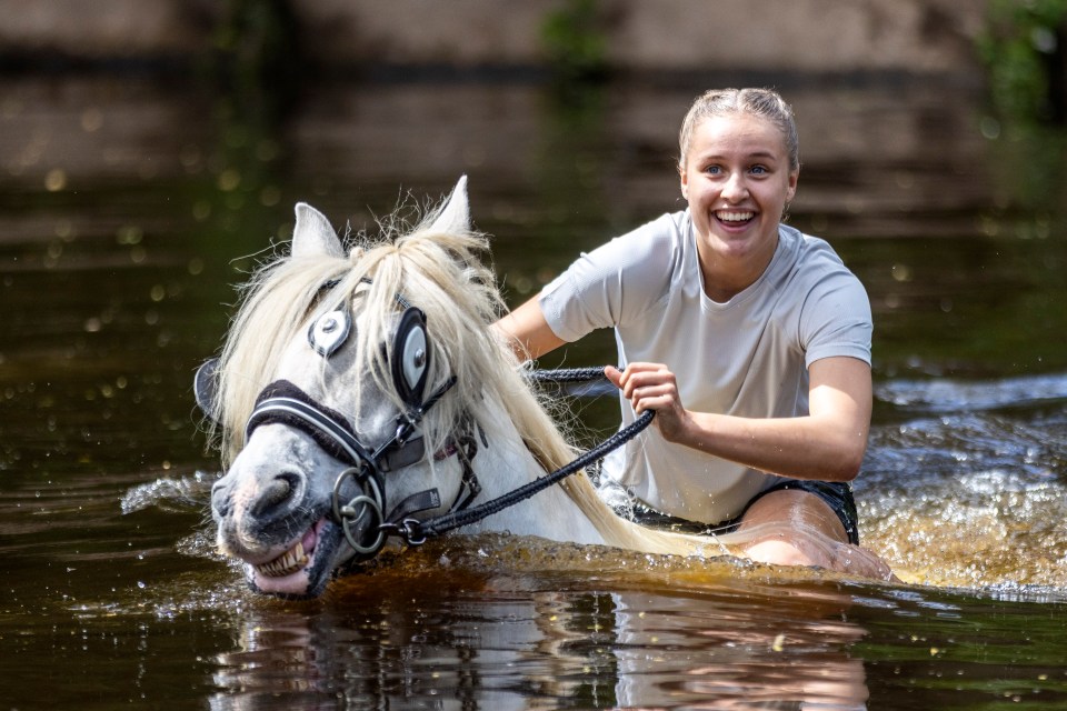 A horse and rider go for a cooling dip in the River Eden
