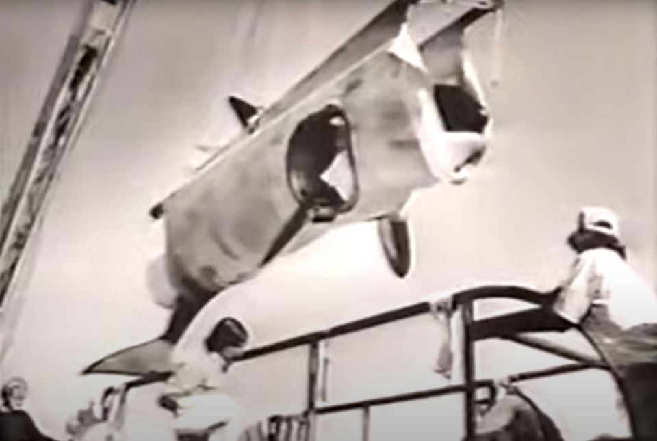 She was taken from her pod on the coast of British Columbia in 1969