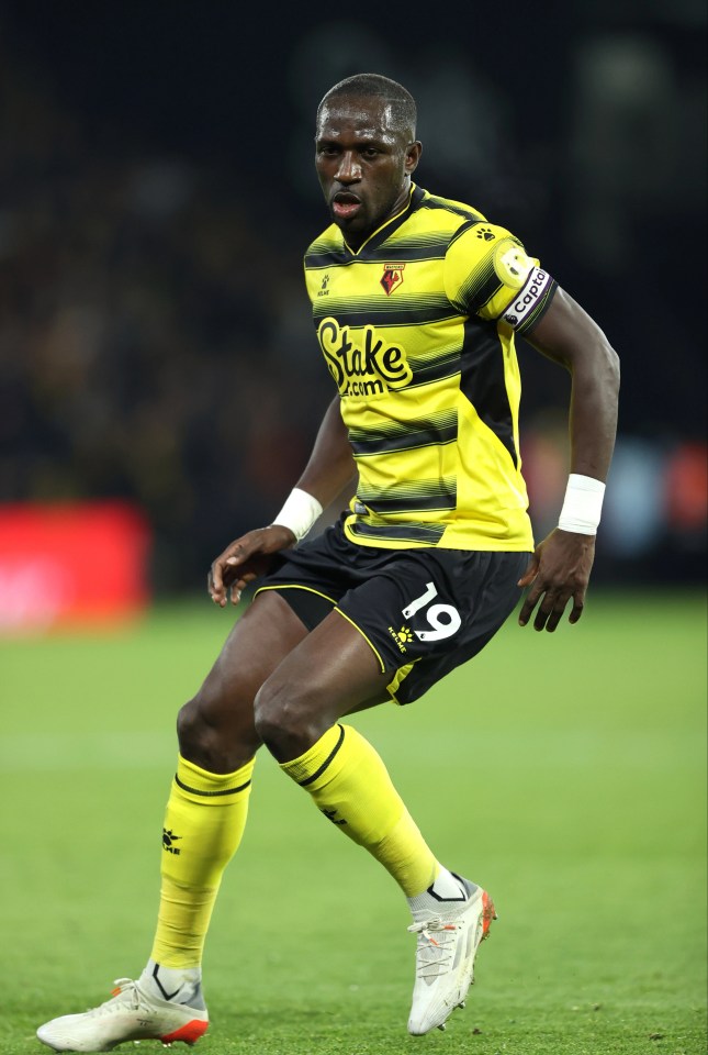 Moussa Sissoko has left Watford after their relegation from the Premier League