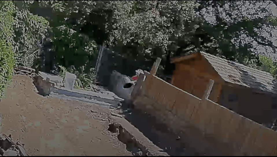 Miezlaiskis is seen allegedly dumping rubbish and soil over the wall onto Carlysle's garden
