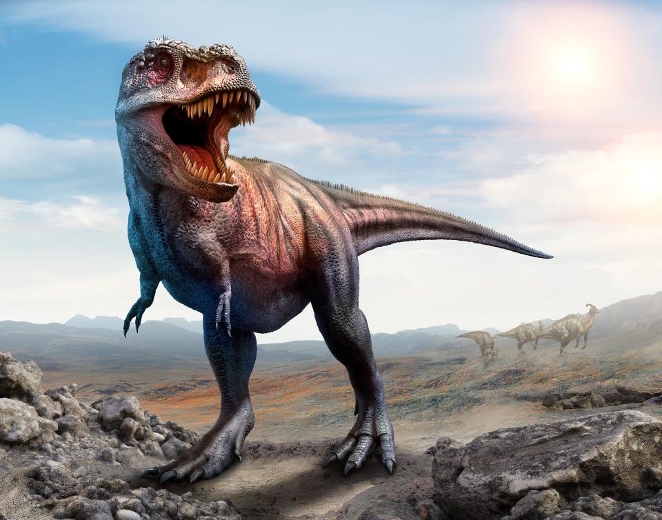 The revelation comes after they studied the fossil of Meraxes gigas, a new species, which grew to 36ft