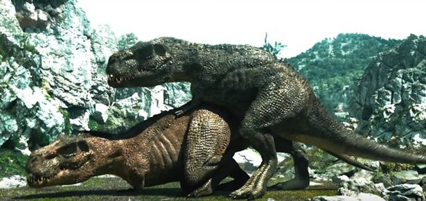 Scientists believe T-rex males had tiny arms to grip dinosaur mates tightly during sex