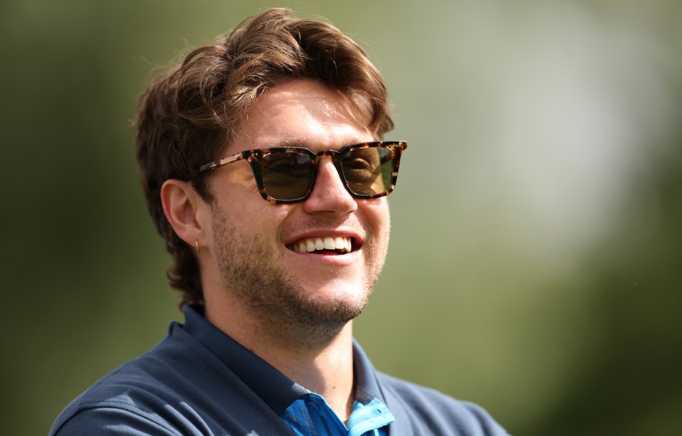Niall Horan is planning to hit the road again, three years after originally planned