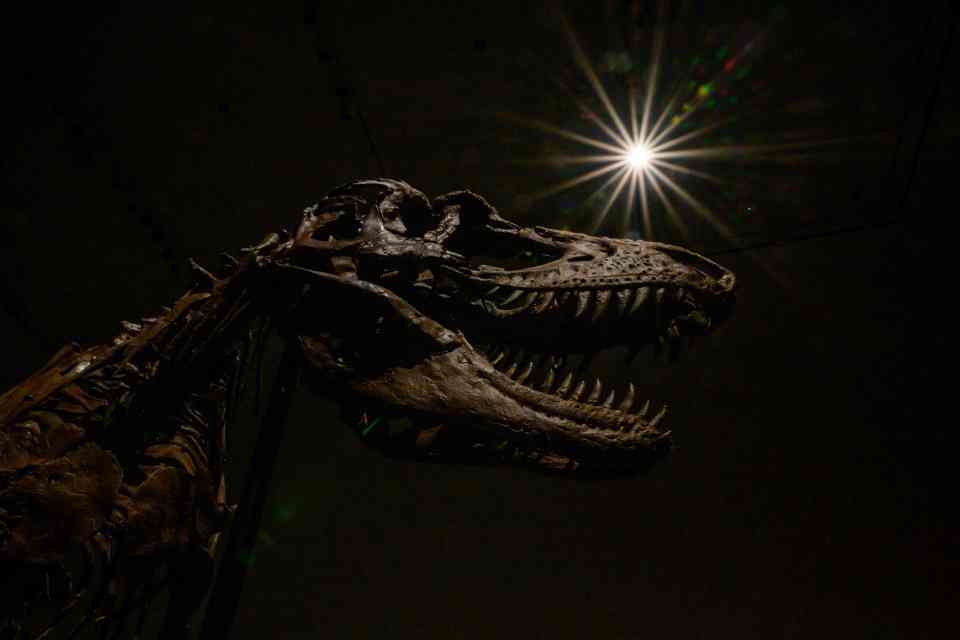 Two theories claim how dinosaurs went extinct - by a meteor or by volcanic eruptions