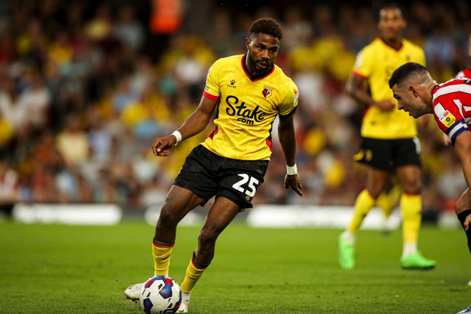 Hornets striker Dennis bagged 10 goals and 6 assists in 33 Premier League appearances last season