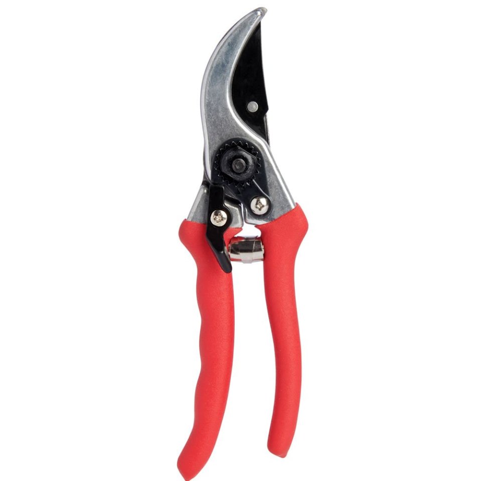 Red-handled pruning shears.