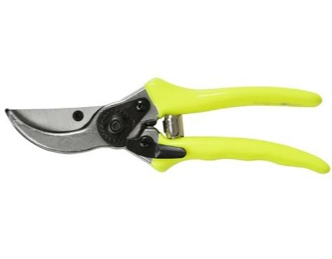 Yellow-handled pruning shears.