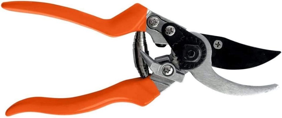 Orange-handled bypass pruners.