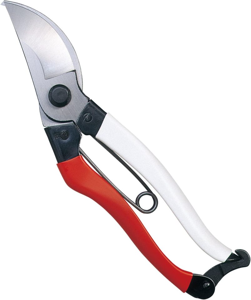 Red-handled pruning shears.