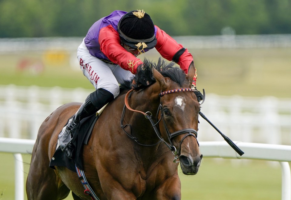 Perfect Alibi was a dominant winner at Yarmouth