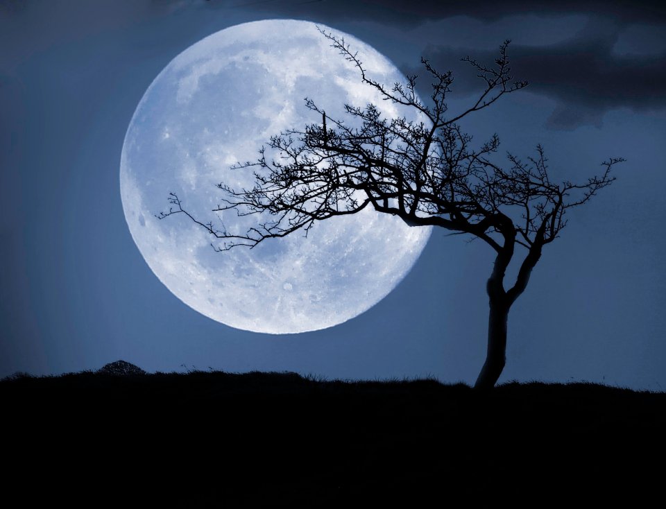 A Full Moon appears when the Moon appears fully illuminated from Earth's perspective