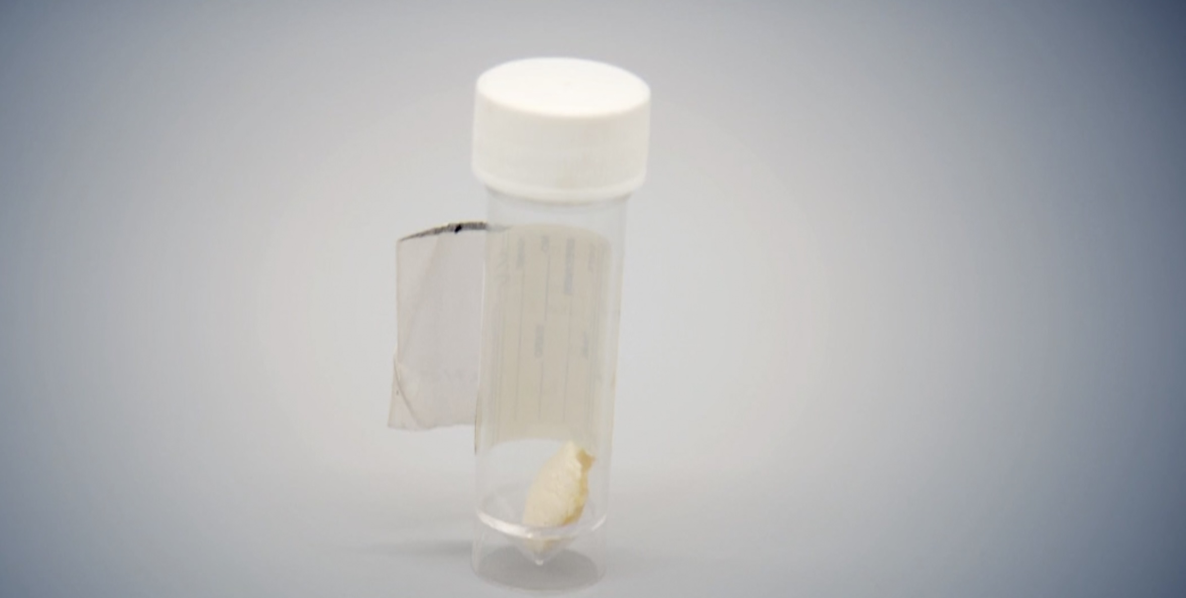 The leg bone was donated as part of the episode's prizes
