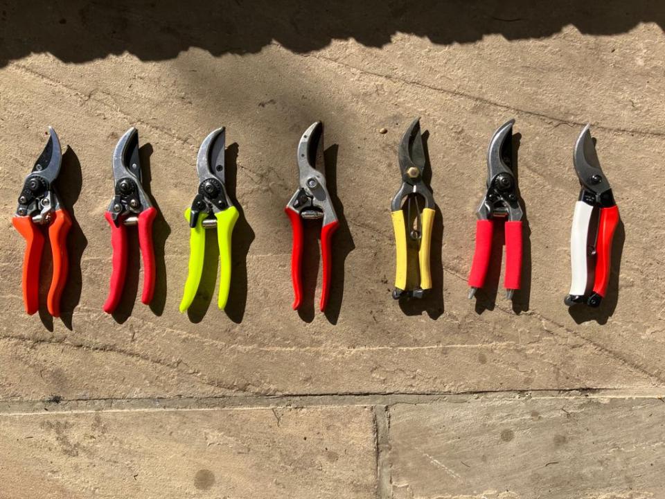Seven pairs of pruning shears in various colors.