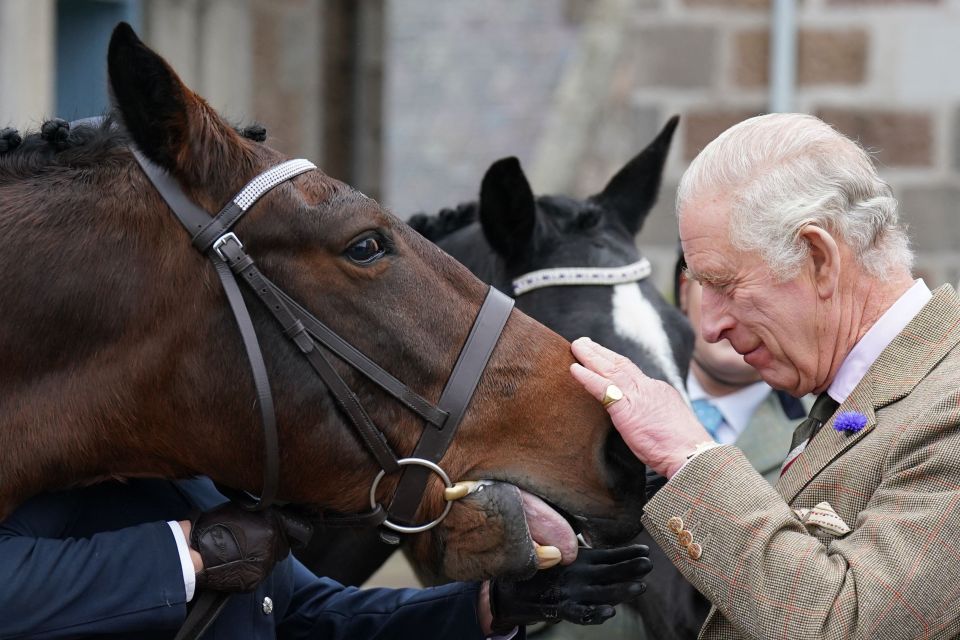 King Charles sold 14 of the late Queen's beloved racehorses for more than £1million
