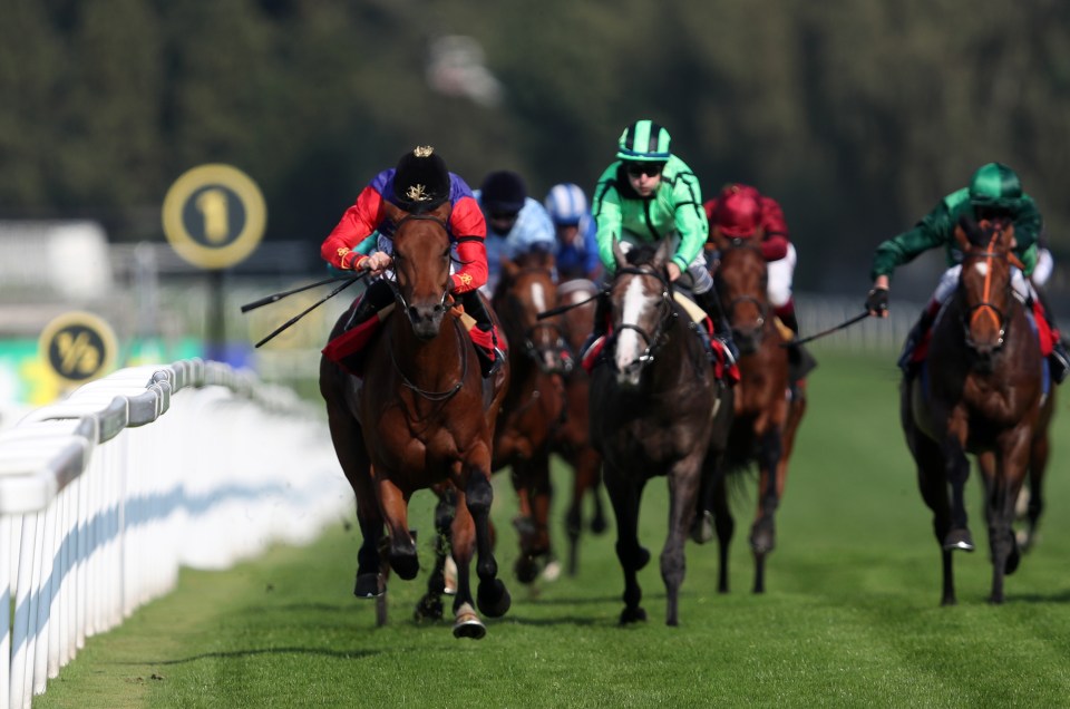 Just Fine, in the famous purple, gold and red Royal silks, was the most expensive horse Charles sold, going for £300,000