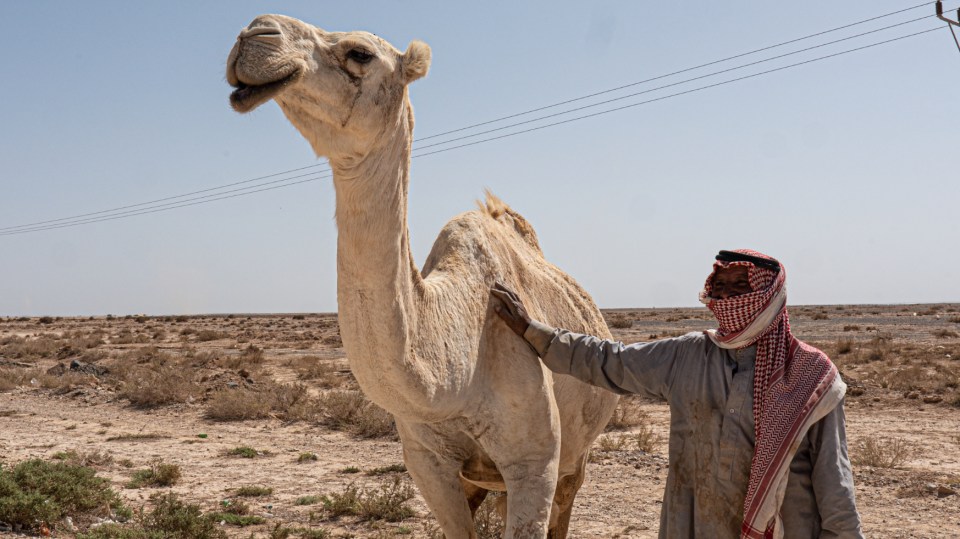 Many people still think that the desert is all there is to Jordan, but there's so much more to the mid-range holiday destination