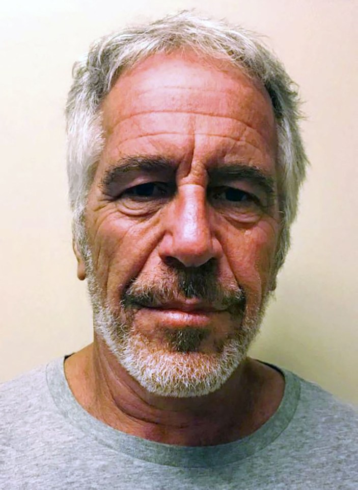 Convicted paedophile Jeffrey Epstein (pictured) hung himself in prison in 2019