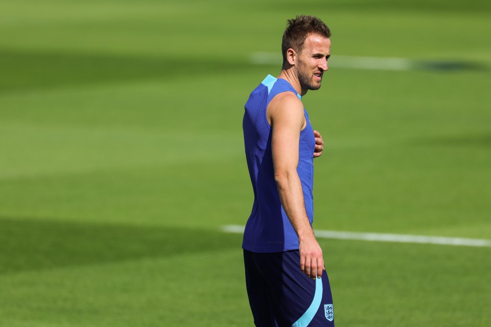 He believes Harry Kane can end his trophy drought in Qatar