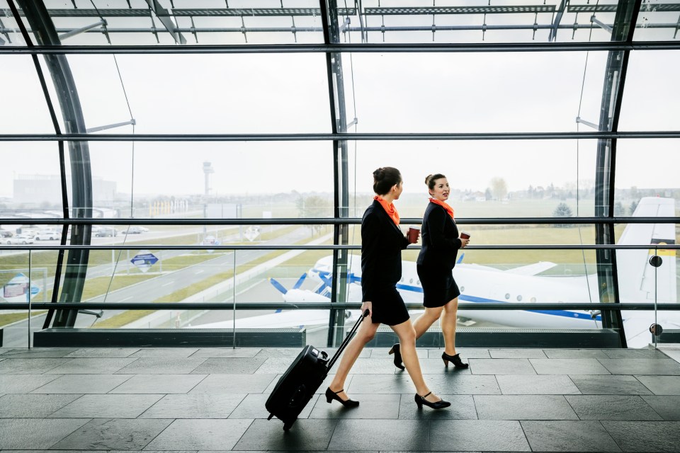 Some famous faces know just what it takes to get a plane off the ground