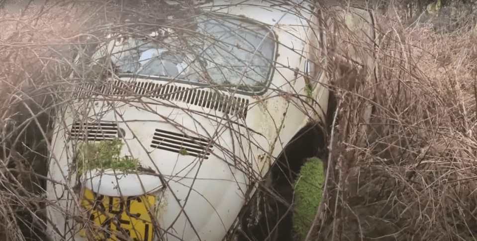 This old VW Beetle wasn't far off returning to nature