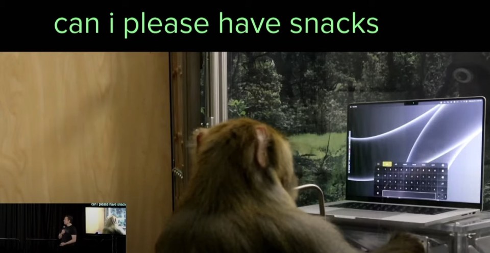 Elon's company Neuralink has been conducting trials on monkeys