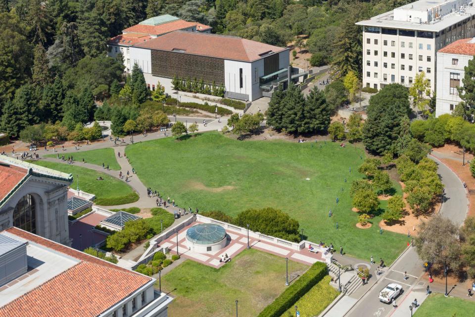 Gruesome images of the monkey trials are yet to be released that were allegedly conducted at the University of California