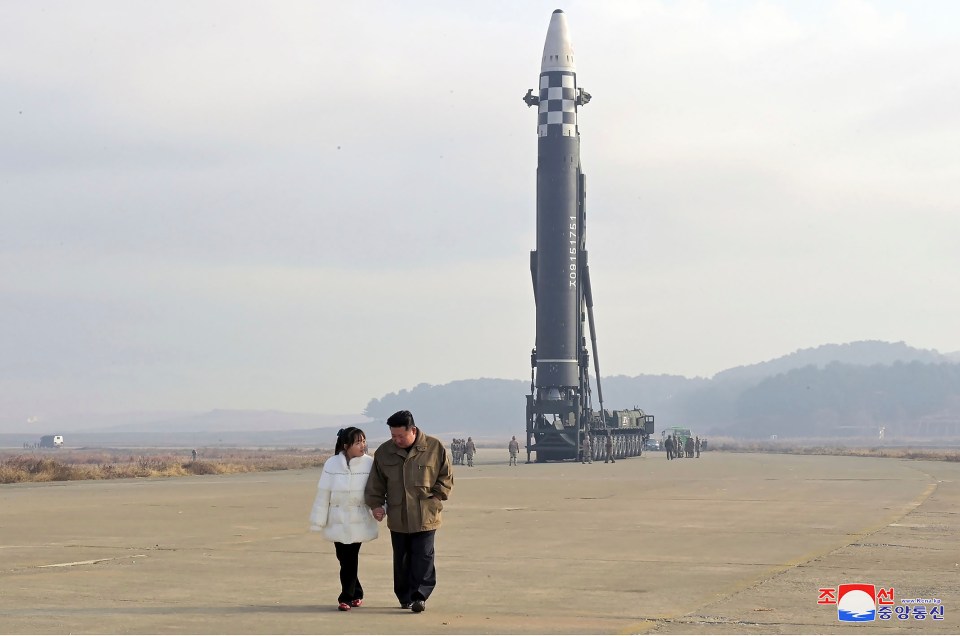 The two were pictured at a missile launch in Pyongyang in November